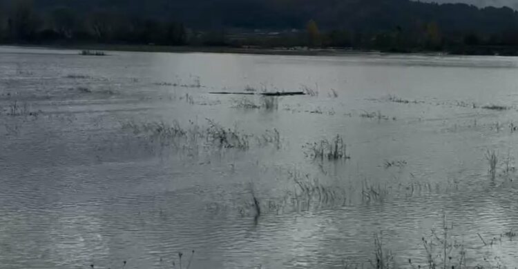 Moti i keq, zonat më problematike nga reshjet në vend