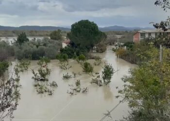 Vjosa në pikën kritike, rrezikohen banesat në fshatin Fitore
