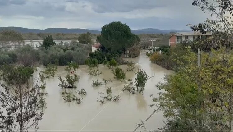 Vjosa në pikën kritike, rrezikohen banesat në fshatin Fitore
