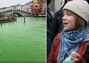 Aktivistja për mjedisin që ndoti kanalin e Venecias, nën hetim Greta Thunberg