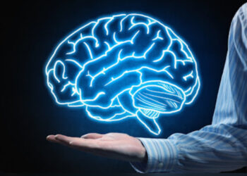 Studimi/ Truri i njeriut nuk arrin pjekurinë deri në moshën 32-vjeçare