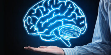 Studimi/ Truri i njeriut nuk arrin pjekurinë deri në moshën 32-vjeçare