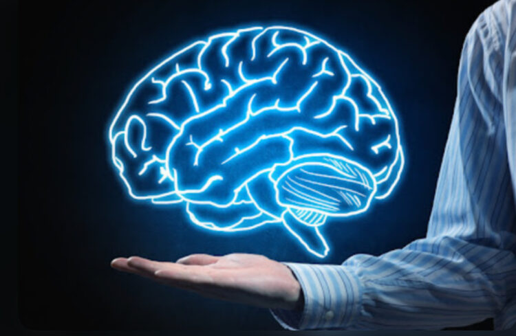 Studimi/ Truri i njeriut nuk arrin pjekurinë deri në moshën 32-vjeçare