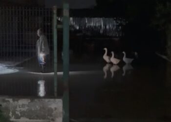 Moti i keq/ Rritet ndjeshëm niveli i lumit Vjosë, rrezikohet dalja nga shtrati