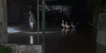 Moti i keq/ Rritet ndjeshëm niveli i lumit Vjosë, rrezikohet dalja nga shtrati