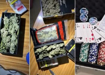 Ktheu lokalin në bazë droge, arrestohet 39-vjeçari në Vaun e Dejës