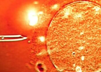 BBC: Në Shqipëri dhe 13 shtete të tjera u përdor sperma nga një dhurues me…