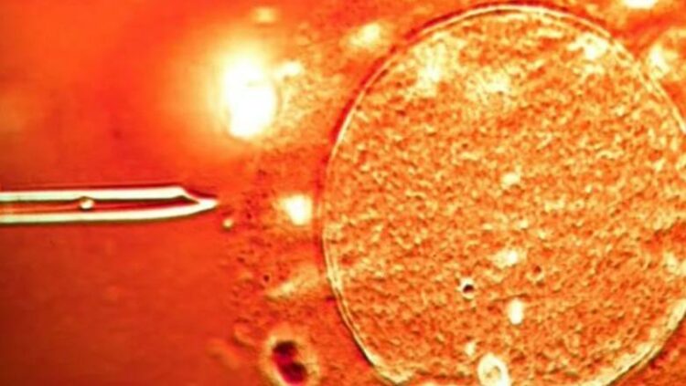 BBC: Në Shqipëri dhe 13 shtete të tjera u përdor sperma nga një dhurues me…