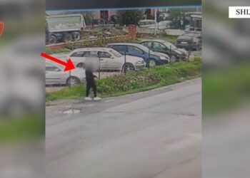 Hajduti nga Torino arrestohet për vjedhje në Maminas