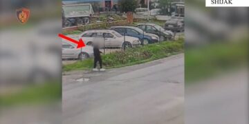 Hajduti nga Torino arrestohet për vjedhje në Maminas