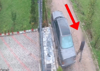 Vidhte makina në Durrës e Dibër dhe ia shiste bandave kriminale, pranga 21-vjeçarit