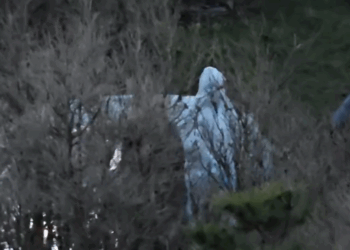 U gjet i pajetë brenda në makinë, identifikohet viktima në Vlorë, ish-polic