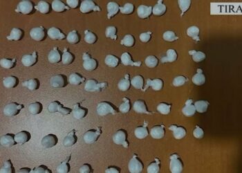 Shkatërrohet rrjeti i drogës në Tiranë, 22 persona të arrestuar