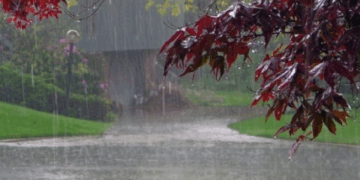 Parashikimi i motit, 3 dhjetor 2025