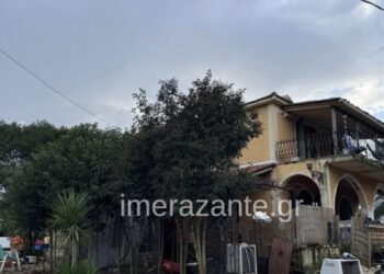 Qeni kafshoi për vdekje 2-vjeçarin, babai: Im bir më pa, buzëqeshi dhe mbylli sytë