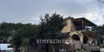 Qeni kafshoi për vdekje 2-vjeçarin, babai: Im bir më pa, buzëqeshi dhe mbylli sytë