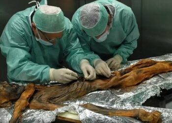 Zbulohet se mumia Ötzi ishte e infektuar me papilloma virus