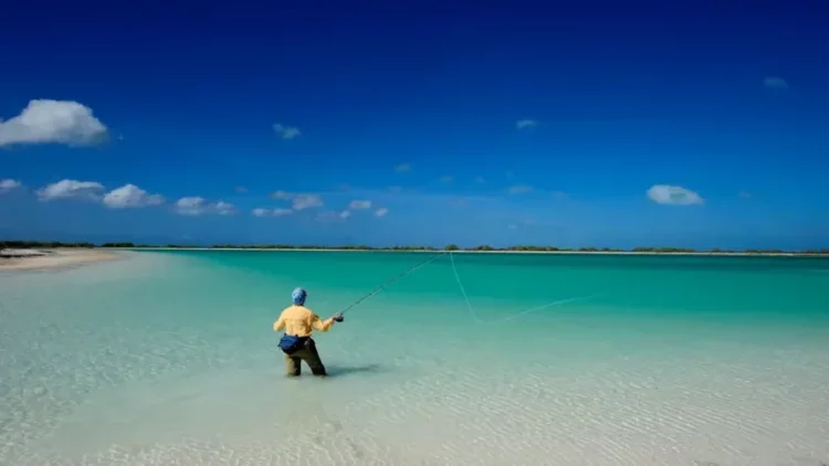 Mbërrin 2026! Festohet Viti i Ri në ishullin e vogël në Paqësor