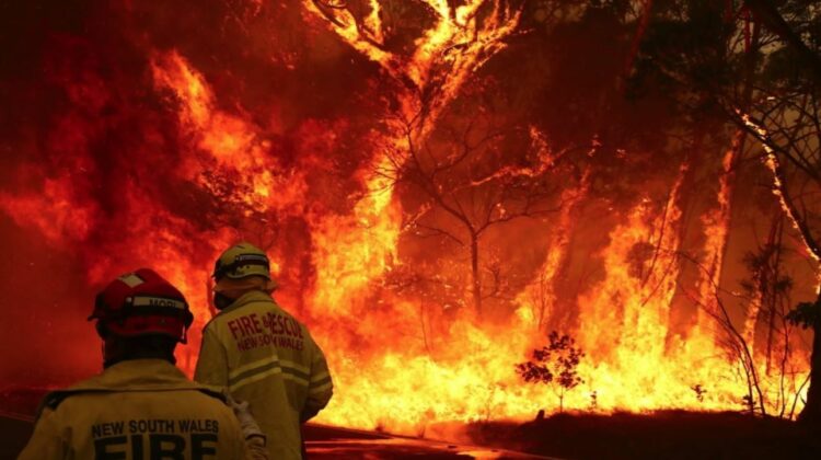 Australia në flakë, regjistrohet viktima e parë dhe mbi 90 vatra zjarri