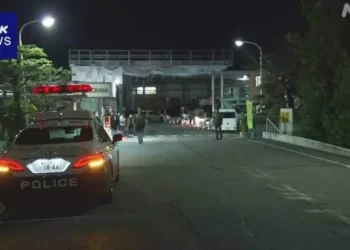 Sulm me thikë në një fabrikë në Japoni, 14  persona të plagosur