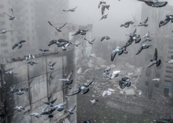 Raporti i OKB: 226 civilë ukrainas të vrarë nga Rusia në nëntor