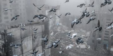 Raporti i OKB: 226 civilë ukrainas të vrarë nga Rusia në nëntor