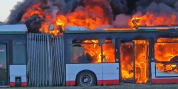 Djegia e 8 autobusëve në Durrës, policia zbardh ngjarjen