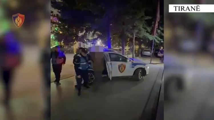 Goditet grupi kriminal që shiste armë zjarri në Kamëz, arrestohen dy persona