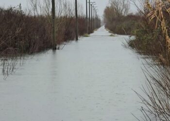 Përmbytjet në Shkodër/ 760 hektarë të përmbytura, bie niveli i ujit në Obot