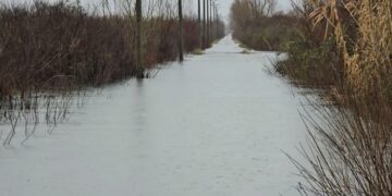 Përmbytjet në Shkodër/ 760 hektarë të përmbytura, bie niveli i ujit në Obot