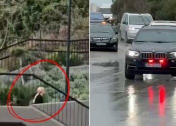 Dhëndri dhe vajza e Trump në Vlorë