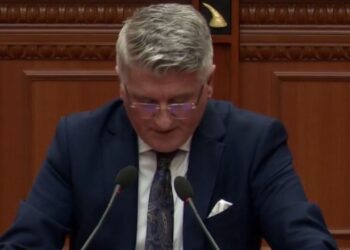 Protesta, Gjekmarkaj: Policia e mbushur me patronazhistë, u ushtrua dhunë