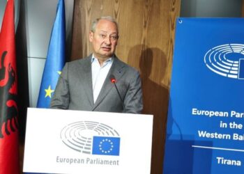 Protesta e PD, raportuesi i PE: Demokracia me molotov nuk është e mirë