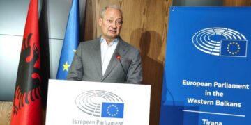 Protesta e PD, raportuesi i PE: Demokracia me molotov nuk është e mirë