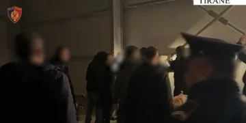 I morën 40 000 euro një personi duke e mashtruar, identifikohen autorët, 3 në pranga