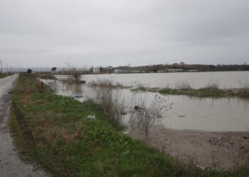 Përmbytjet, si paraqitet situata në Durrës