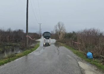 Përmbytjet në Shkodër, rreth 525 ha toka bujqësore nën ujë