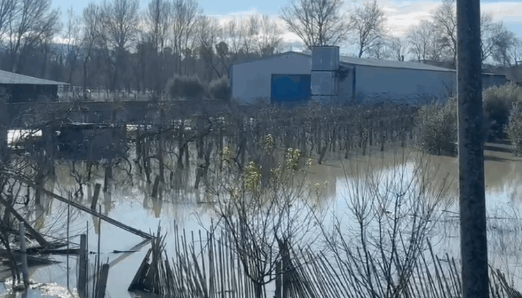 Moti i keq, situatë problematike në 7 qarqe