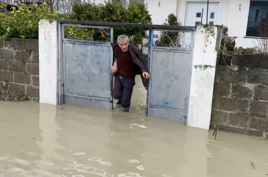 PD kërkesë qeverisë  Shpallni gjendjen e fatkeqësisë natyrore  kompensoni banorët