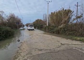 Barinjtë nuk pranojnë të evakuohen, duan të qëndrojnë me lopët në zonën e përmbytur