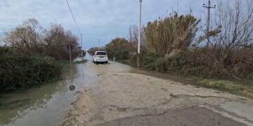 Barinjtë nuk pranojnë të evakuohen, duan të qëndrojnë me lopët në zonën e përmbytur