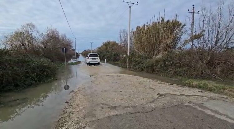 Barinjtë nuk pranojnë të evakuohen, duan të qëndrojnë me lopët në zonën e përmbytur