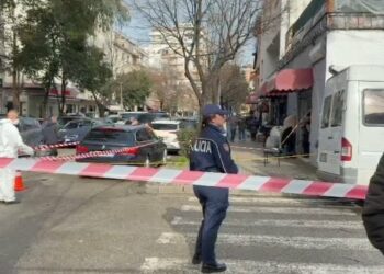 Qëlloi me thikë vajzën dhe plagosi dy persona të tjerë, arrestohet autori në Durrës