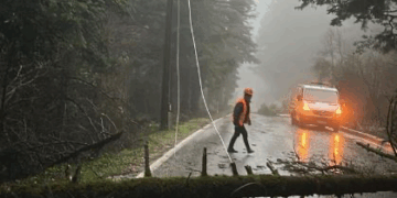 Moti i keq rrëzon pemët në Llogara, bllokohet qarkullimi rrugor