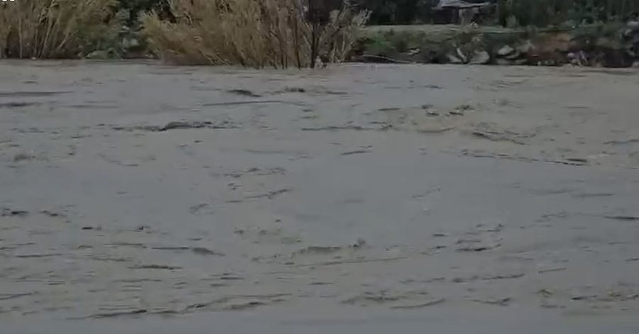 Vjosa në pikën kritike, rritet frika nga përmbytjet në Novoselë