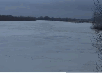 Vjosa në nivel kritik, përmbyten rreth 200 hektarë tokë bujqësore