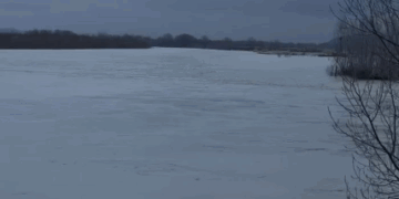 Vjosa në nivel kritik, përmbyten rreth 200 hektarë tokë bujqësore