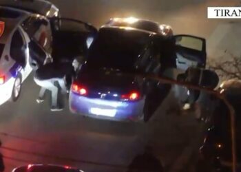 Goditet grupi kriminal që shiste armë zjarri te Fresku dhe në Tufinë, 3 të arrestuar