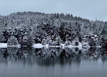 Parashikimi i motit, 14 janar 2026