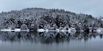 Parashikimi i motit, 14 janar 2026